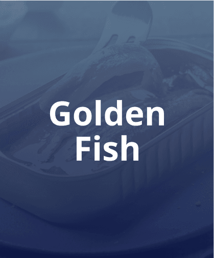 Golden Fish