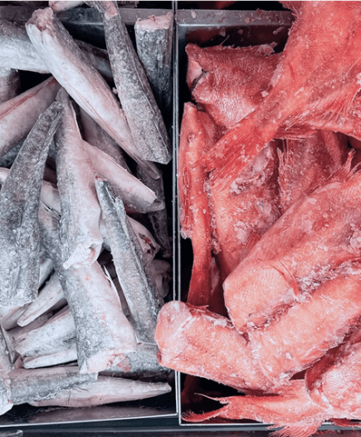 Whole frozen fish - CIBEL Group