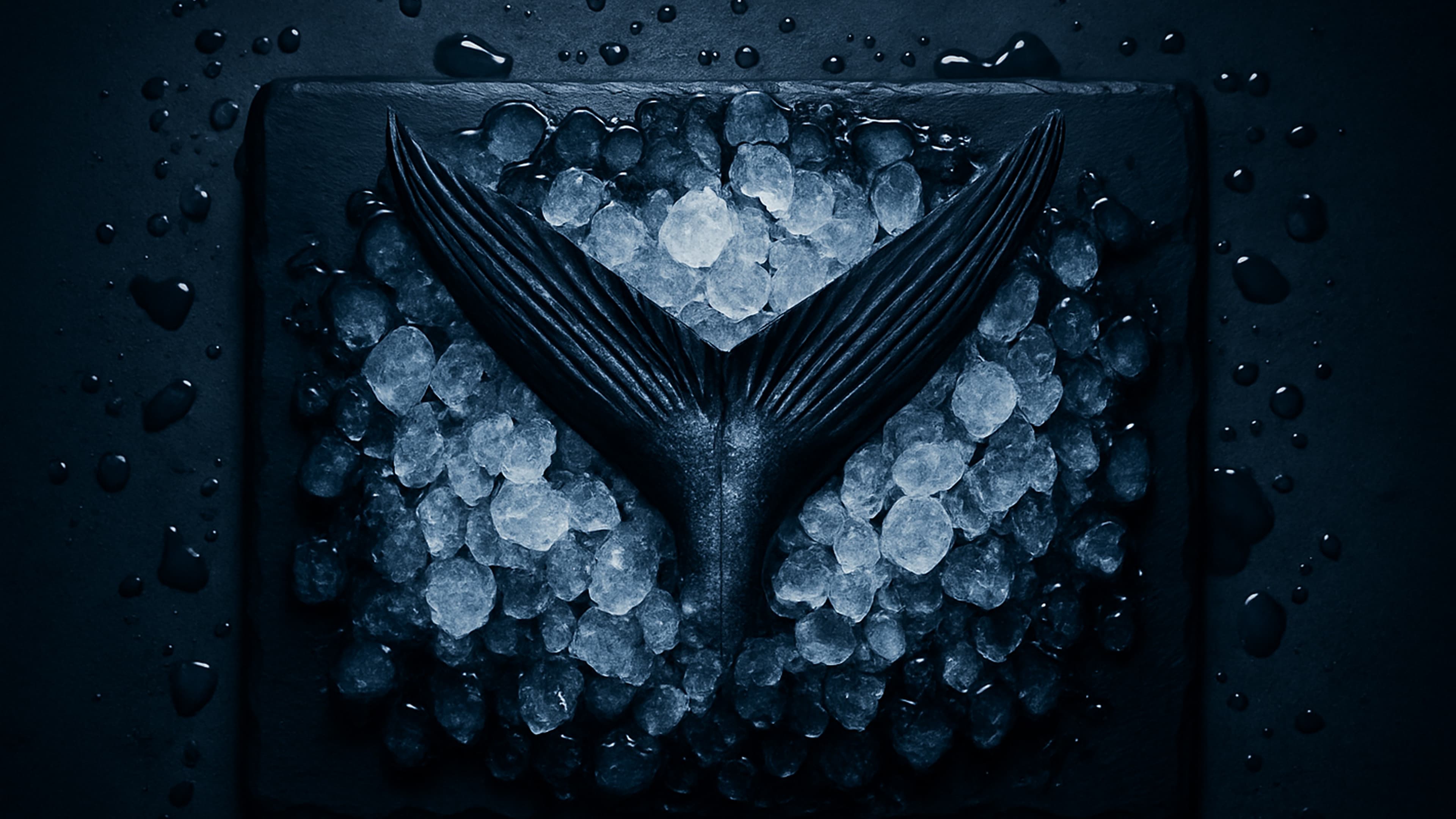Fish on ice