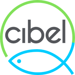CIBEL IV logo
